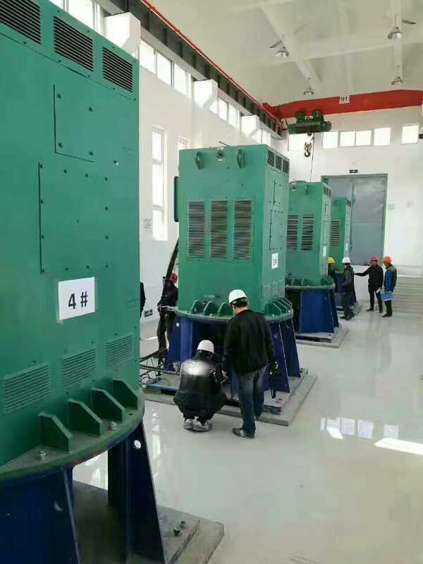 兴城某污水处理厂使用我厂的立式高压电机安装现场